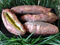Patates douces au four